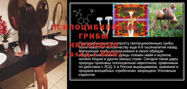 MDMA Premium VHQ Гатчина