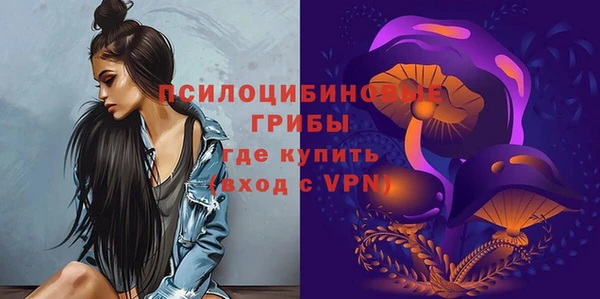 MDMA Premium VHQ Гатчина