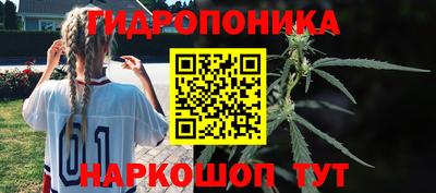 прущие грибы Жуковский