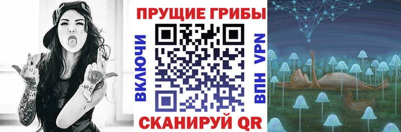 hydra зеркало  наркошоп  Кыштым  Галлюциногенные грибы Cubensis 