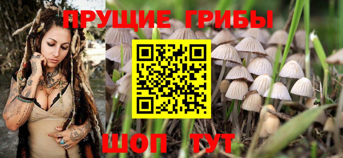 Псилоцибиновые грибы мухоморы  Галлюциногенные грибы Cubensis  Кыштым  Вход с VPN 