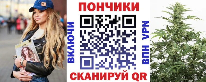 где можно купить наркотик  Кыштым  Конопля индика 